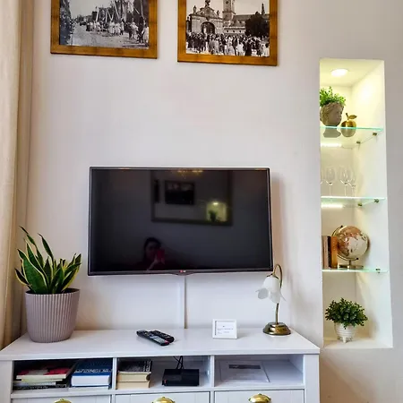 Bialy Kruk Vis-a-vis Jasnej Gory Apartment