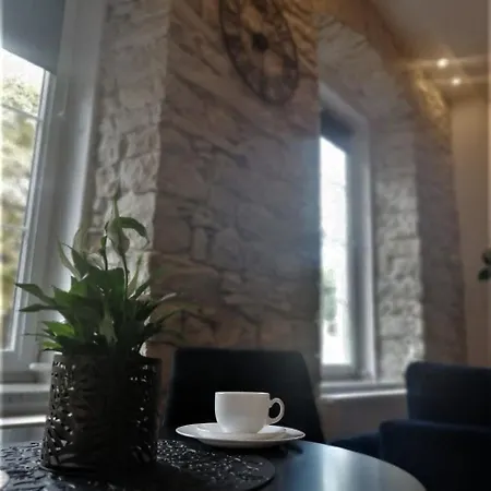 Bialy Kruk Vis-a-vis Jasnej Gory شقة تشينستوخوفا