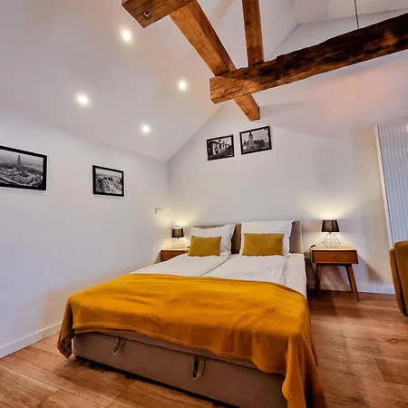 Bialy Kruk Vis-a-vis Jasnej Gory شقة