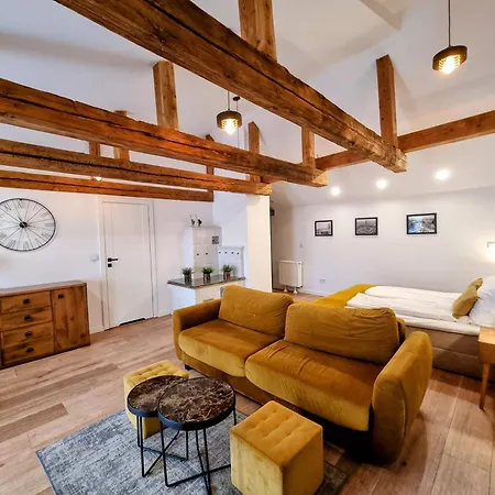Bialy Kruk Vis-a-vis Jasnej Gory Apartmán Čenstochová