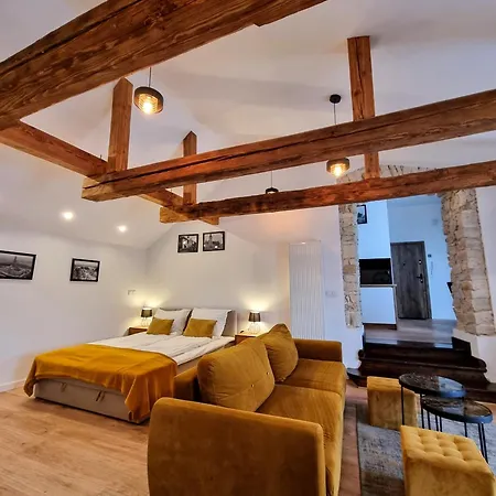 Bialy Kruk Vis-a-vis Jasnej Gory شقة تشينستوخوفا