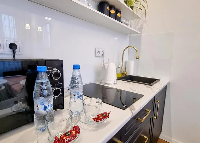 Bialy Kruk Vis-a-vis Jasnej Gory Apartment *