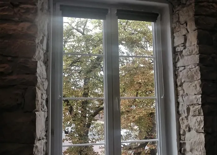 Bialy Kruk Vis-a-vis Jasnej Gory Czestochowa