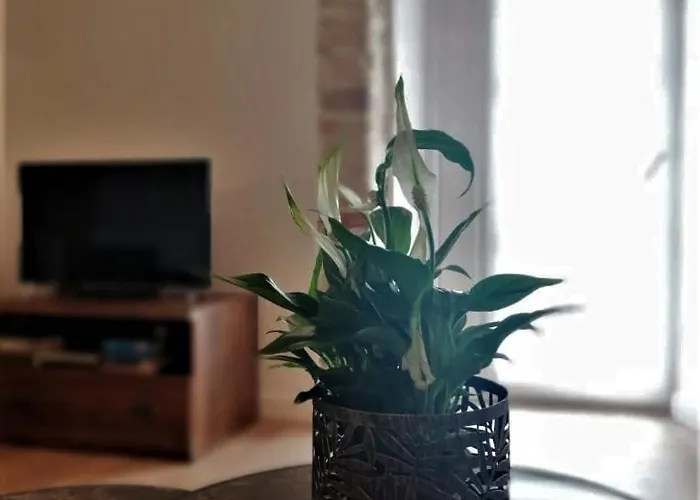 Bialy Kruk Vis-a-vis Jasnej Gory Apartment